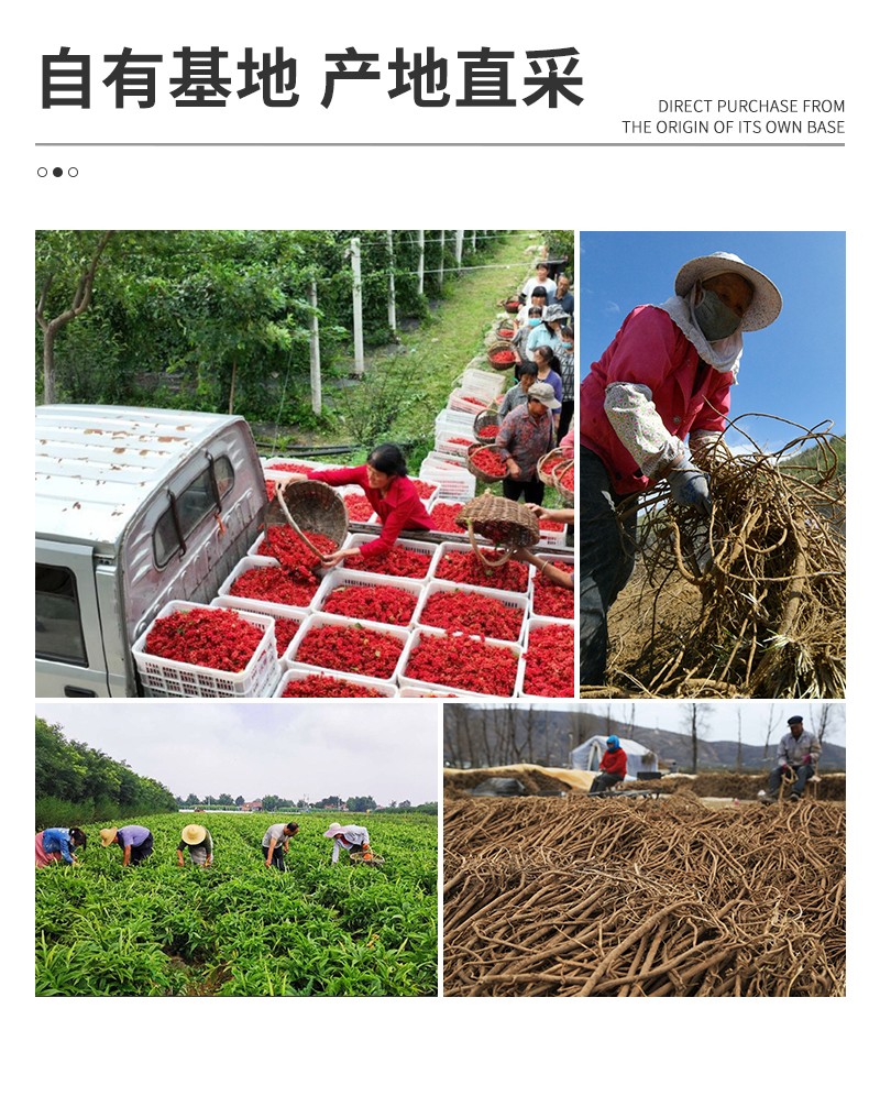 b70c9bfd4a8dbaeb63ca0a10960b834_09