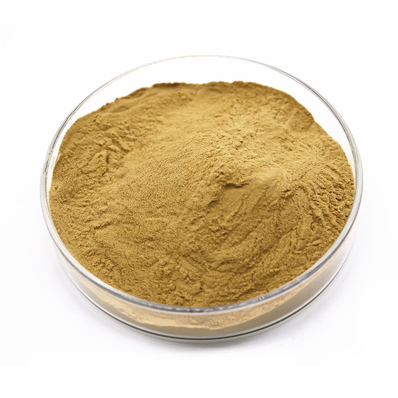 馬齒莧提取物 (3)