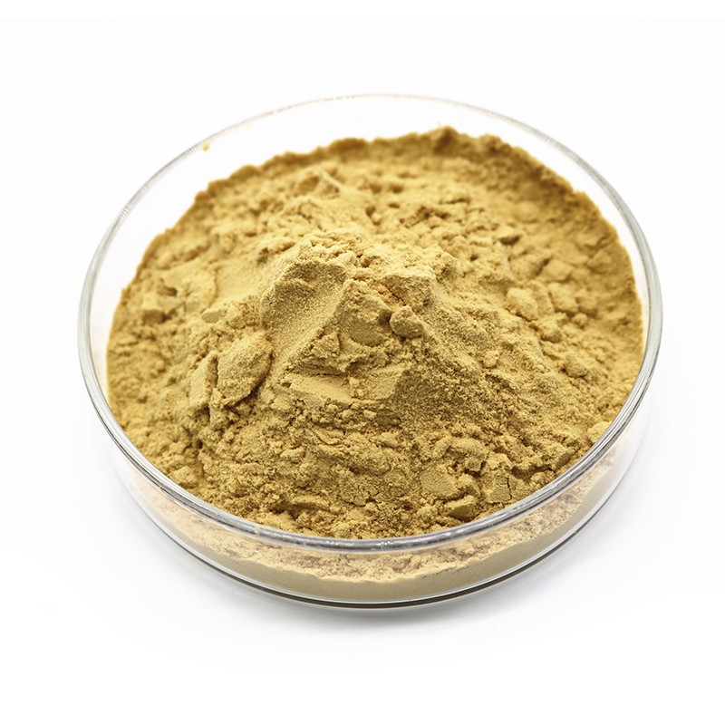 淡竹葉提取物 (3)