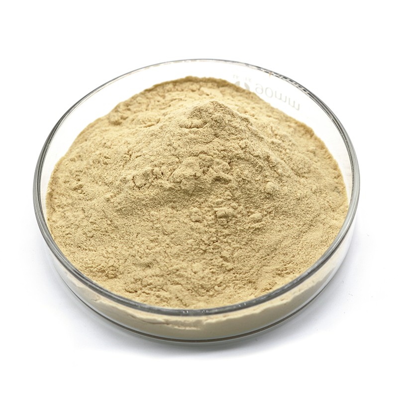 Poria extract-3