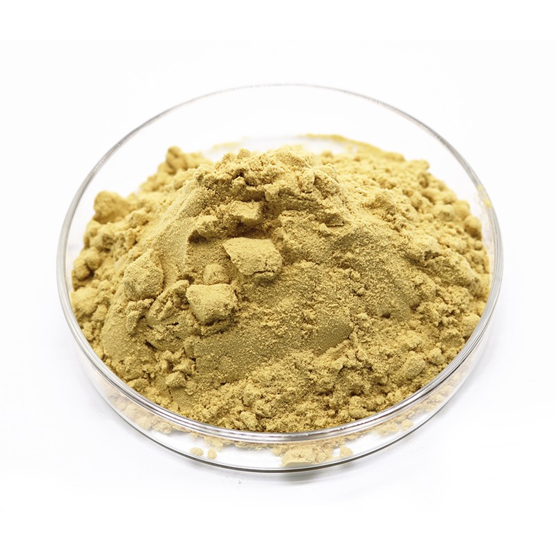 金銀花提取物 (3)