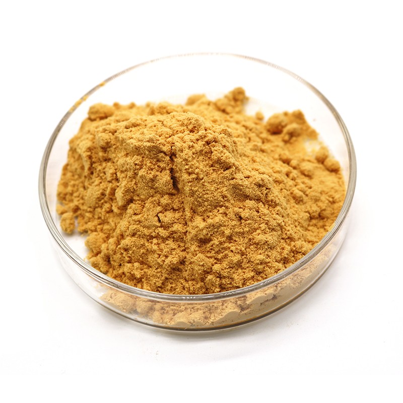 Cinnamon Extract-3