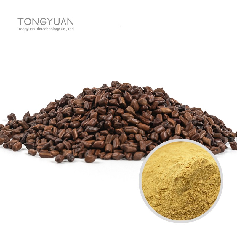 決明子提取物 (1)0