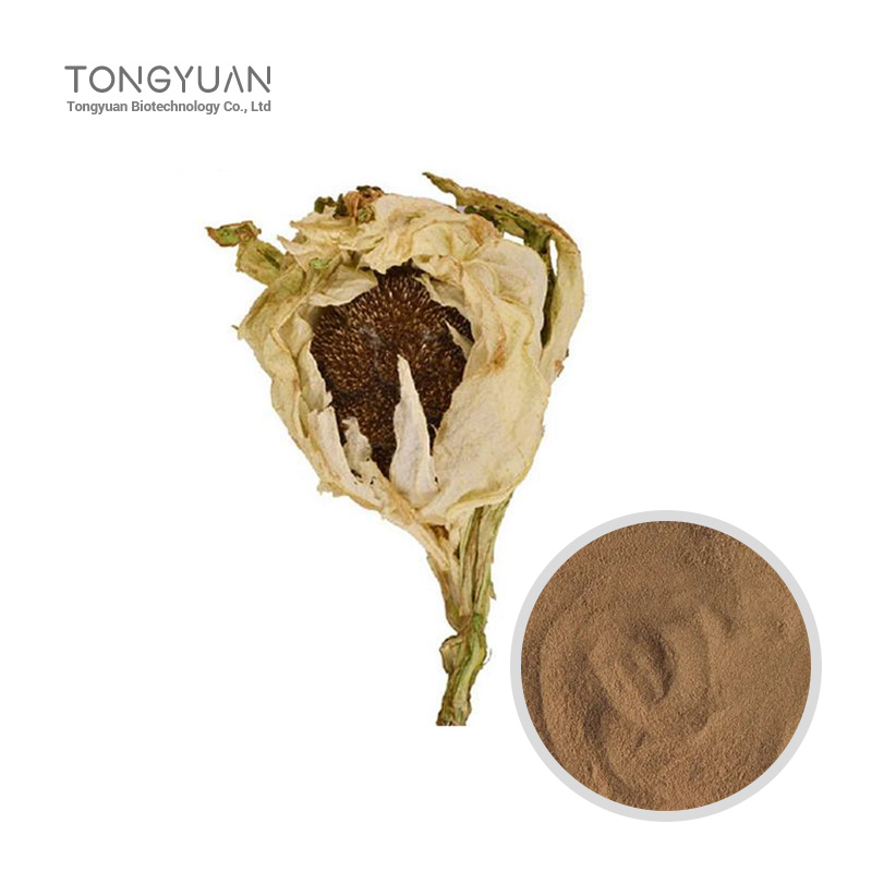 雪蓮培養(yǎng)物