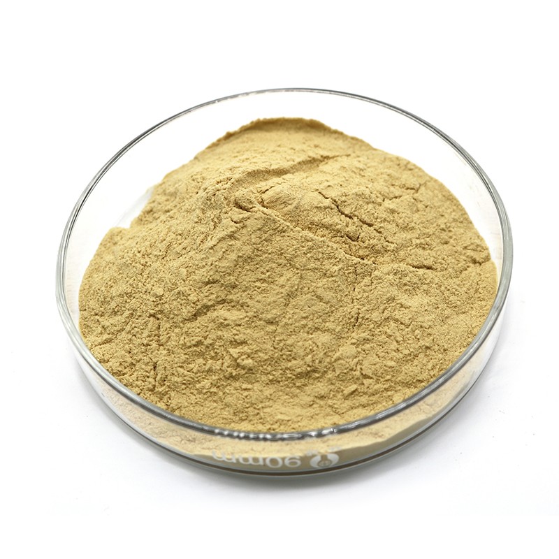 當(dāng)歸提取物 (3)