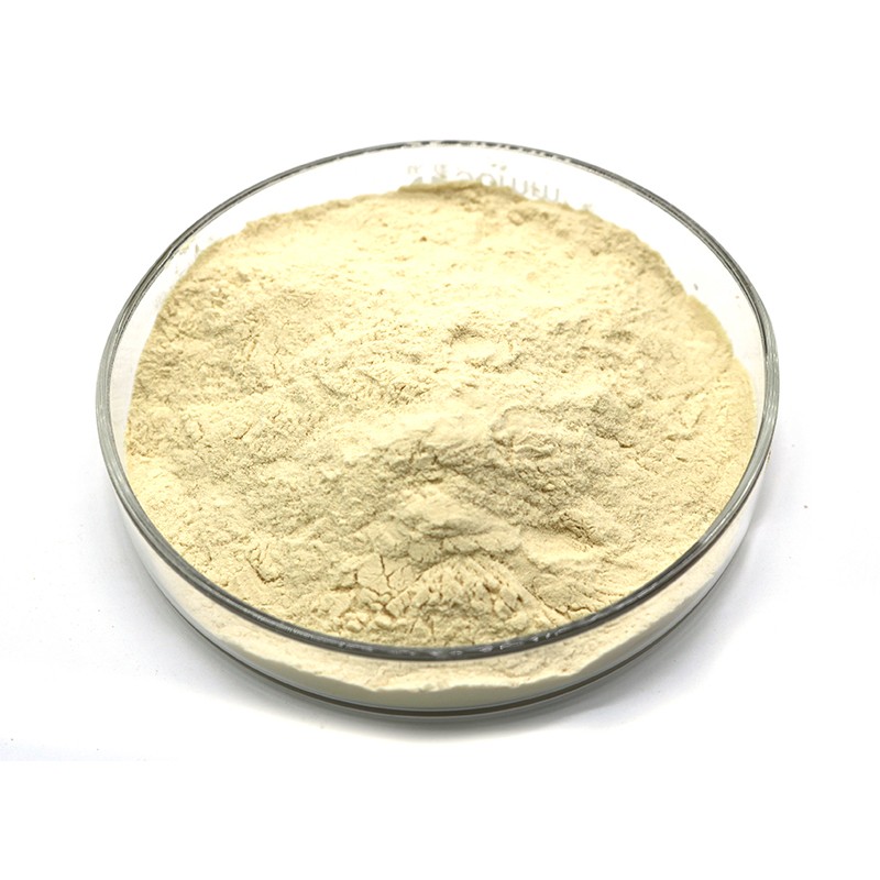 薤白提取物 (3) 薤白提取物 (3)